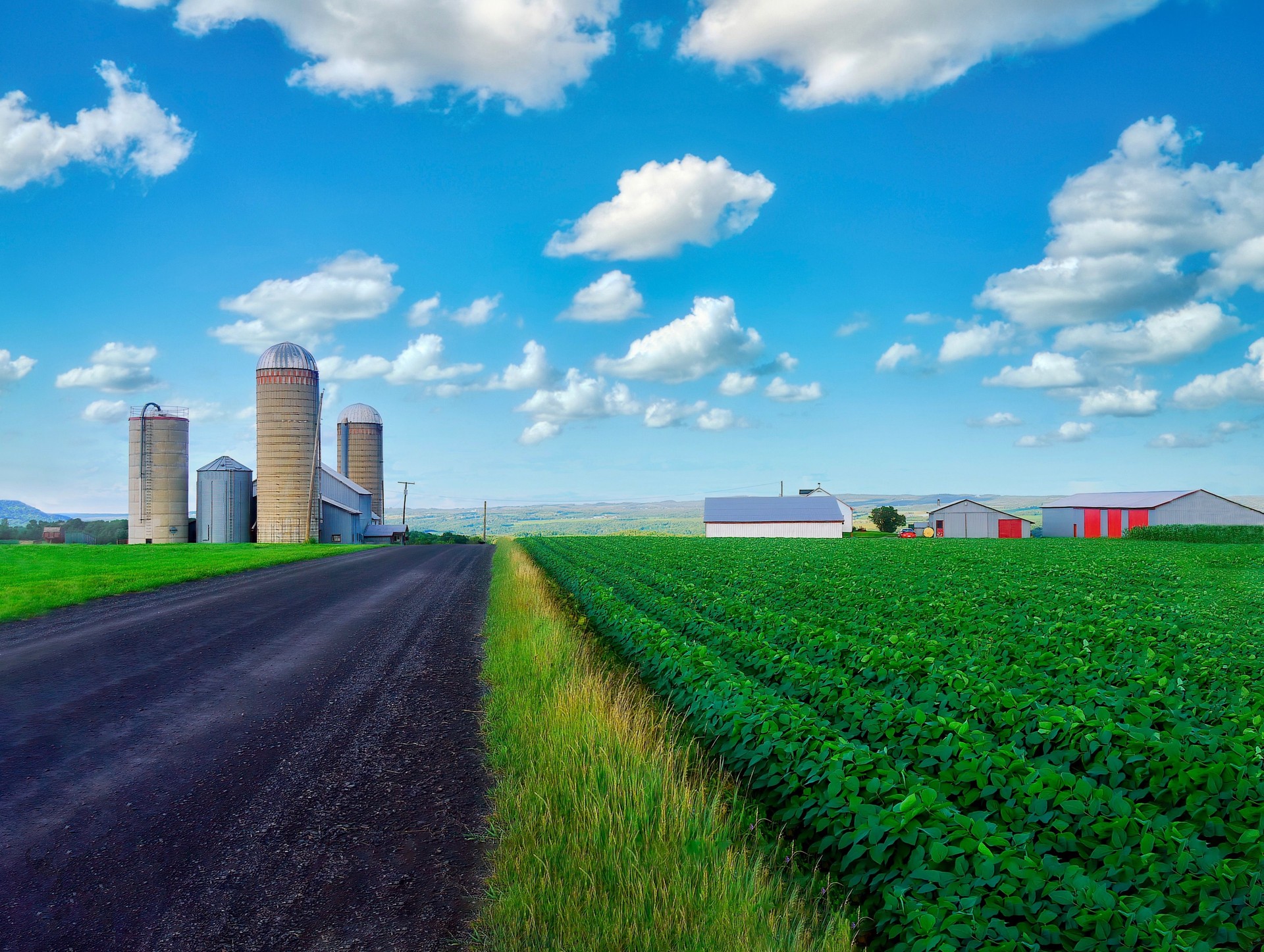 A beautiful working farm with neat rows of crops growing during a Canadian summer.
