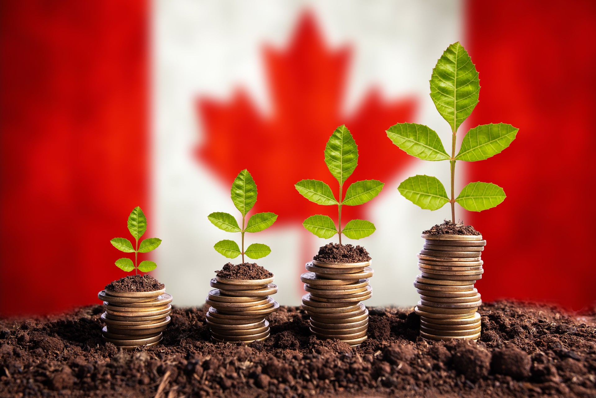 Economy Canada concept finance money