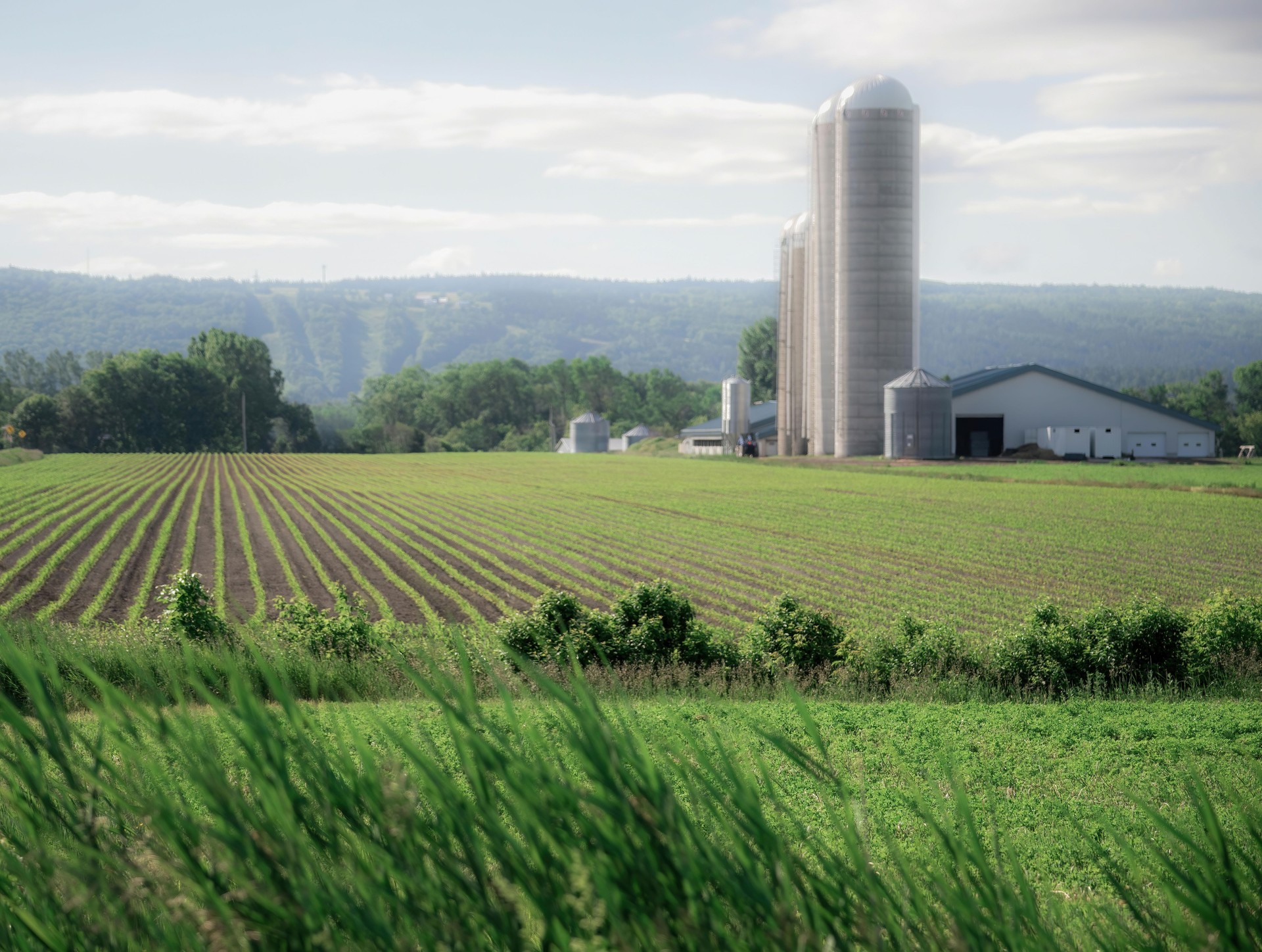 Agriculture, Ouelle River, St-Pacôme, Kamouraska